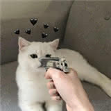 HHB