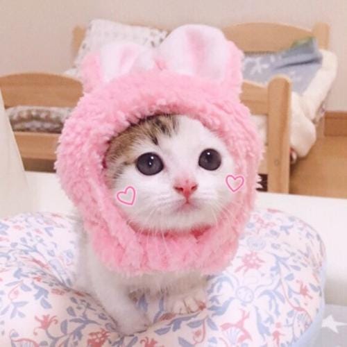 Bdjd