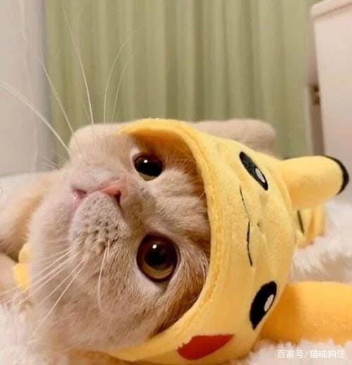 江涵秋