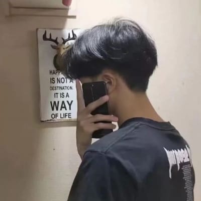 瓦萨的一