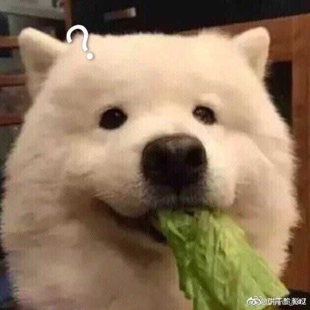 Lee_