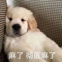 鱼堡00