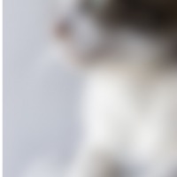 昔昔小姐姐