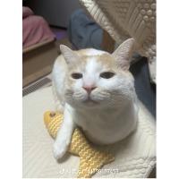 小钟