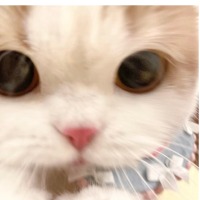 粥粥zzzz