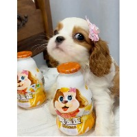 落墨墨