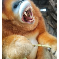 yyyyx