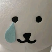 淋雨也陪我