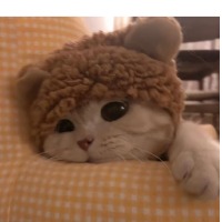 JENNIF