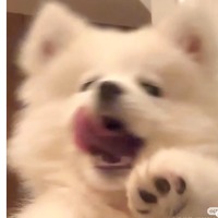 哎哟喂