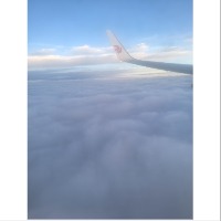 铁砂掌丶