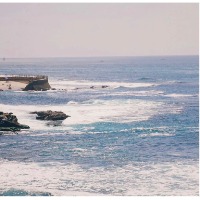 7ine