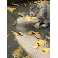 睡睡睡不着