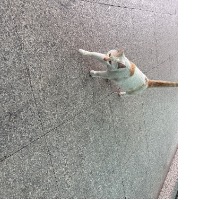 727
