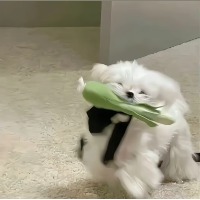佳c