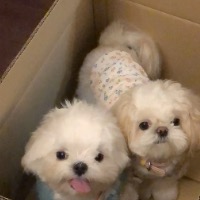 小小小朋友