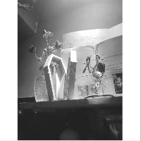 zzz小鸡