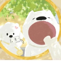 咕噜咕噜咕噜