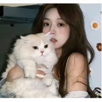 小软
