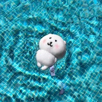 哈哈哈12