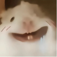 爱吃猫的鱼