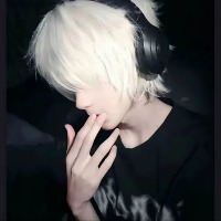 秋叶z