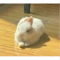 .阿阿阿佳