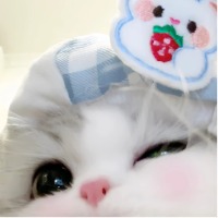 香菇
