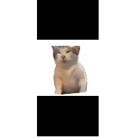 Qwertm