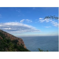 屁股红红红