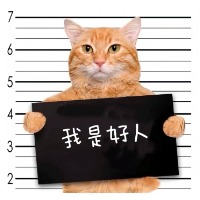 王木木