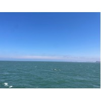可爱红pp