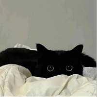 柒柒.