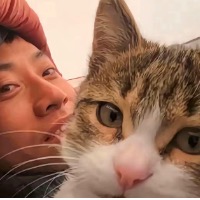 树下的提米