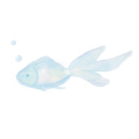 魚ew