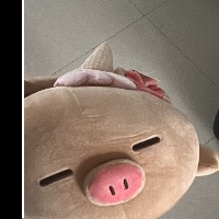无敌无敌琛琛