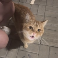 AAAW