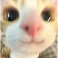 就斤斤计较