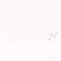 恭喜恭喜