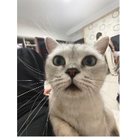 小唐没有故事