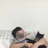 大喵