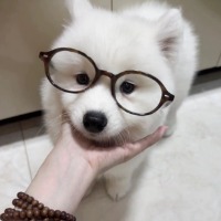 我不会起名字