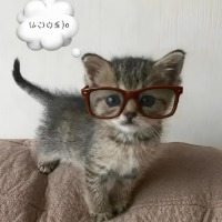 Mirai