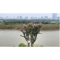讨厌下雨