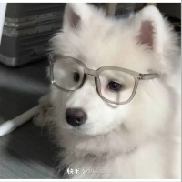 想被主人疼爱