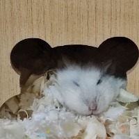 嘛顺