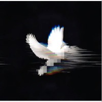 颐和