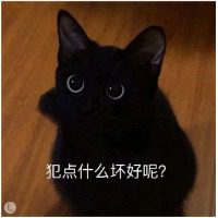与君逢