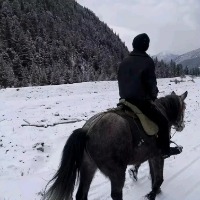 冬藏夏雪