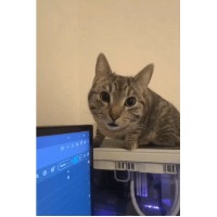 jfduhg